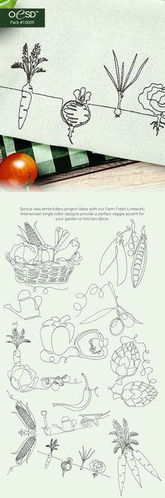 some vegetables and fruits are drawn on paper