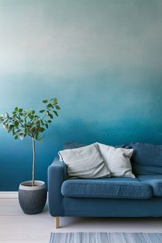 a blue couch sitting next to a potted plant