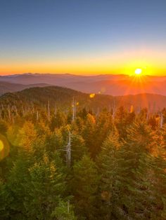 Sunrise Views in the Great Smoky Mountains: Clingman's Dome Florida National Parks, Mountains Sunrise, Clingmans Dome, Smoky Mountain, Above The Clouds, Appalachian Trail, Us National Parks, Great Smoky Mountains