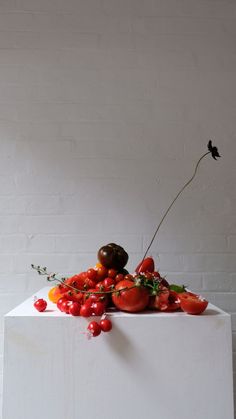 tomatoes and other fruits are arranged on top of a white box against a brick wall