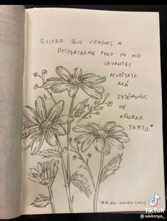 an open book with some drawings on the pages and writing in spanish above it is a drawing of daisies