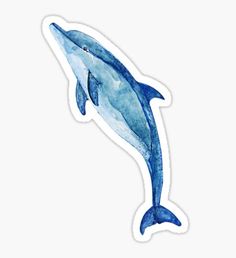 a blue dolphin sticker on a white background