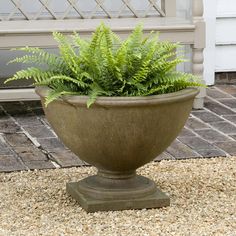 a potted plant sitting on top of a stone floor next to a white door