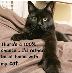 a black cat laying on top of a bed with the caption, there's a 100 % chance i'd rather be at home with my cat