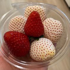 four strawberries in a plastic bowl on a table