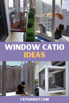 Get inspired with these window catio ideas! Give whatever space you have a purpose for your feline friend to enjoy. From a small observatory to a full catio on your apartment window, extract ideas from this list to transform your space soon! Small Observatory, Window Catio, Apartment Window, Cat Proofing