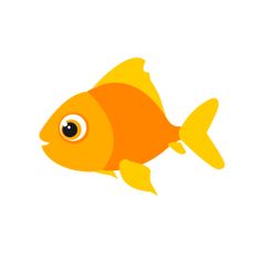 an orange fish with big eyes