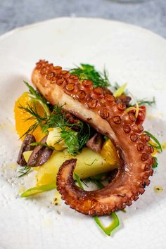 grilled octopus salad on a white plate with green garnish