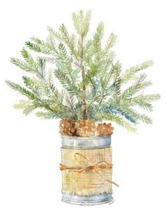 a watercolor painting of a potted plant with pine cones and leaves in it