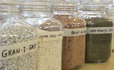 there are many different types of spices in the jars