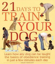 the book cover for two days to train your dog, with pictures of people and dogs