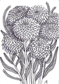 an ink drawing of some flowers on a white background