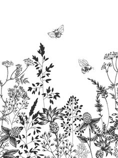 black and white drawing of wildflowers with butterflies in the sky above them by person