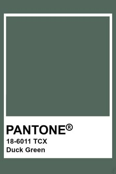 pantone's duck green color is shown