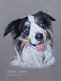 a drawing of a dog with blue eyes