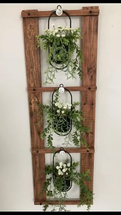 three wooden frames with plants hanging on them