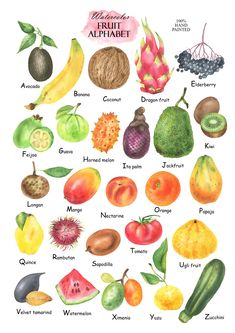 a poster with different fruits and vegetables on it's sides, including bananas, pineapples, watermelon, kiwi, dragonfruit