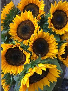 a large bouquet of sunflowers in front of a wooden fence