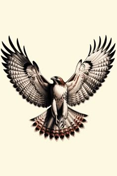 a drawing of an eagle flying with its wings spread