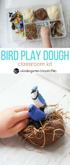 a bird play doughnut classroom kit is shown with the instructions to make it look like they are sitting in a nest