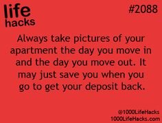 Photo 1000 Lifehacks, Revamp Furniture, 1000 Life Hacks, Rental Apartment, Decor Studio, Apartment Life