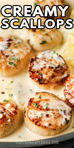 creamy scallops with lemon and parsley on top