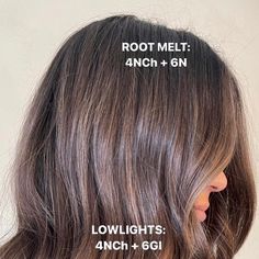 BEACH INSPIRED COLORIST + EDUCATOR on Instagram: "Rich brunette melt 🤎 - lowlight thick + bold pockets of depth - fill remaining hair if needed - melt down root for extra bend - finish with a global gloss If you are wanting a warmer brunette make sure to add warmth to your formula with @redken NCh series! They do have ash/blue tones so remember this when formulating. #btconeshot2023_brunettes #btconeshot2023_balayage @oneshothairawards" Brunette Root Melt, Root Melt Brunette, Ash Balayage, Brunette Roots, Root Melt, Reverse Balayage, Hair Education