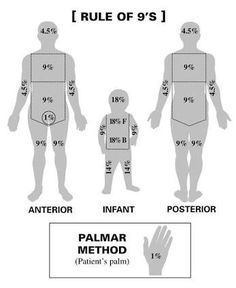 an adult and child's body measurements are shown in the diagram, which shows how to