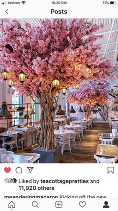 the restaurant is decorated with pink trees and white chairs