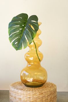 a large green plant in a yellow vase on a wicker stand with a white wall behind it