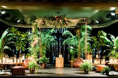 a stage set up with plants and candles