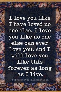 a quote on love that reads i love you like i have loved no one else