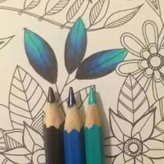 three pencils are lined up next to each other on a wall with flowers and leaves