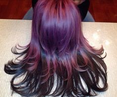 Purple Hair With Black Tips, Purple Racoon Tail Hair, Purple Hair With Highlights, Purple Hair With Blonde Highlights, Purple Skunk Hair, Purple Gradient Hair, Hair With Black Tips, Purple Chunky Highlights, Brown And Purple Hair