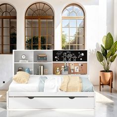 a white bed sitting under two windows next to a potted plant and bookshelf