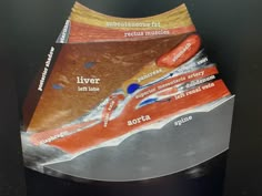 an image of a diagram of the foot with different areas labeled in red and blue