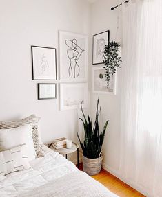 a bedroom with pictures on the wall and a plant in a basket next to it