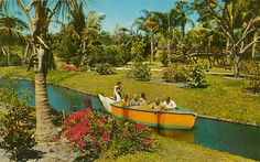 several people are riding in a boat on the water near some palm trees and flowers