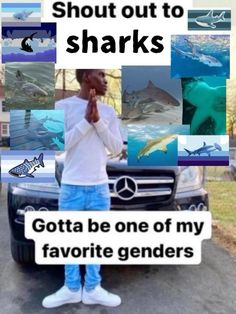 a person standing in front of a car with shark pictures on it and the caption says, i'm not going to shoot out to sharks gotta be one of my favorite genderers