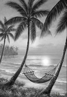 a black and white photo of a hammock between two palm trees on the beach