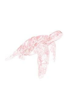 a drawing of a pink sea turtle on a white background