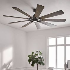 a living room with a ceiling fan and a plant in the corner next to it