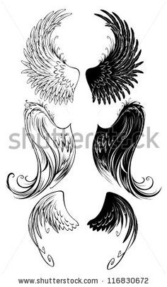 four different types of wings in black and white on a white background, each with an individual