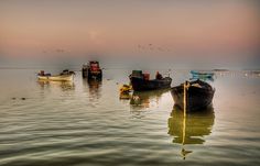 several small boats floating on top of a body of water with birds flying above them