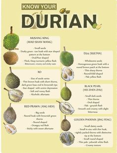 a poster with different types of durian