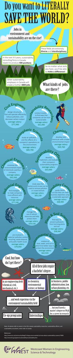 an info poster with information about the different types of sea animals and their habitats