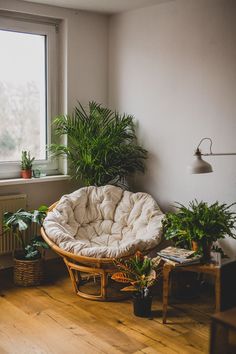 a living room filled with lots of plants next to a large window on top of a hard wood floor