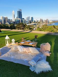 an outdoor picnic is set up on the grass with city skyline in the back ground