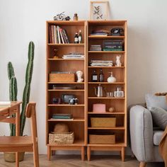 a living room filled with furniture and a book shelf