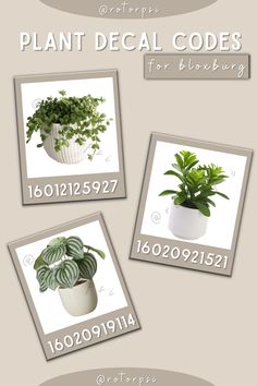 three different types of plants are shown in this graphic style, with the numbers below them